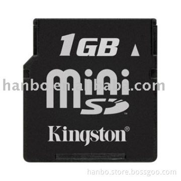 SD card, micro SD card, mini SD card, DV-RS card, MMC card, TF card, hi-speed memory card, OEM memory card, branded memory card